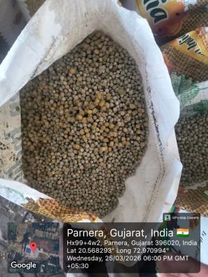 Damaged Stock of Matar